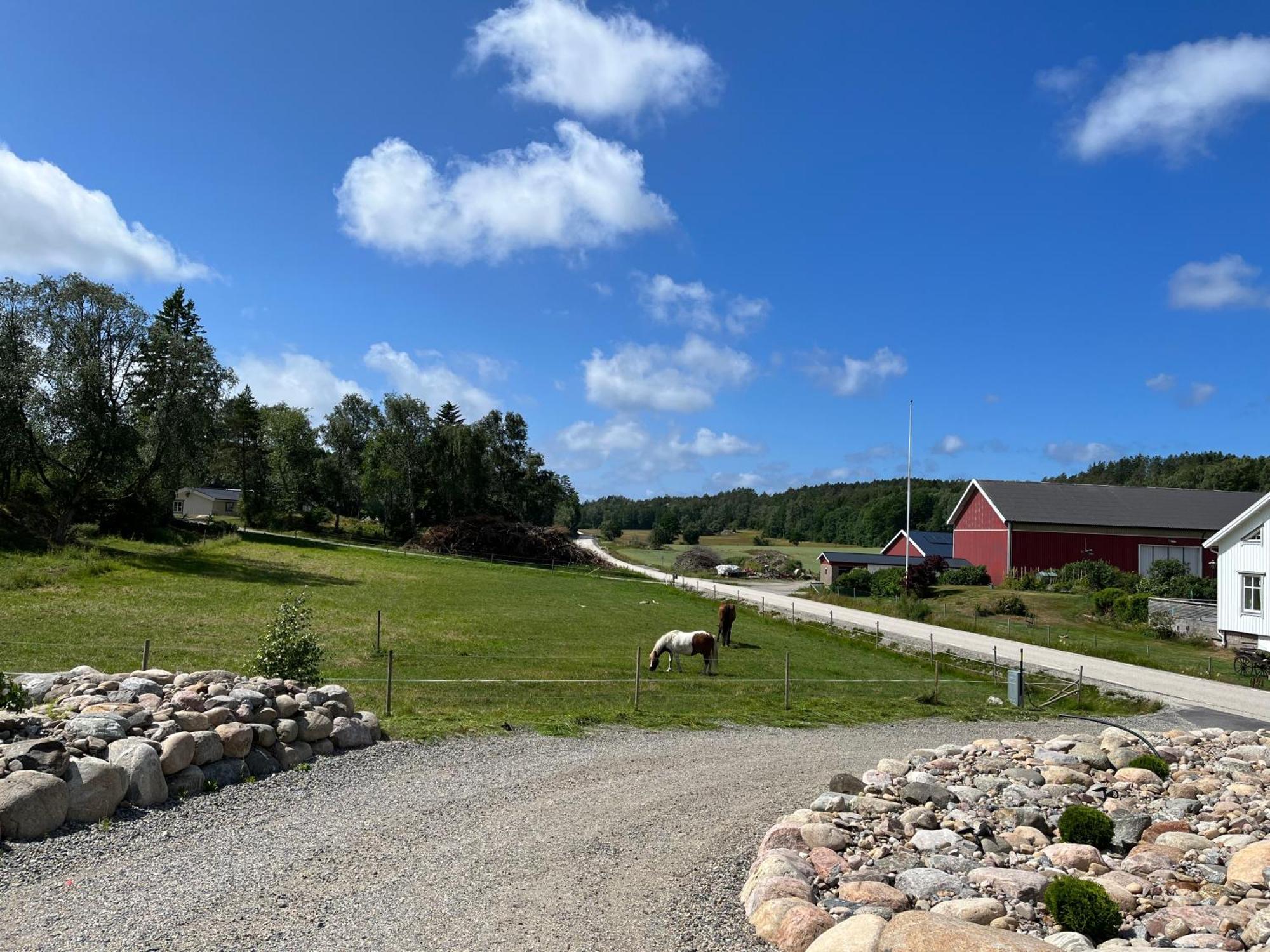 Вилла Fjaellbacka Premium Living - Wonderful Location Экстерьер фото